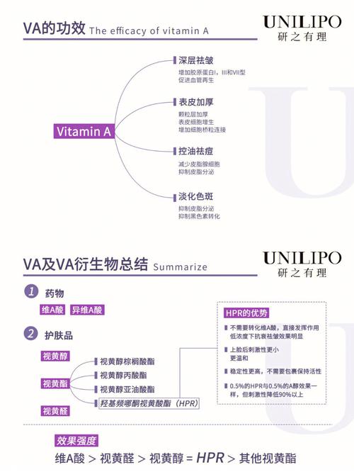 探索VA精华区二区的区别在哪里