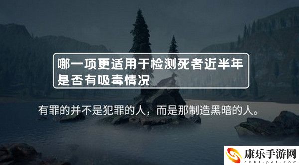 下列哪一项更适用于检测死者近半年是否有**情况